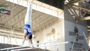 serie a1 ph simone ferraro sfa04111a copia